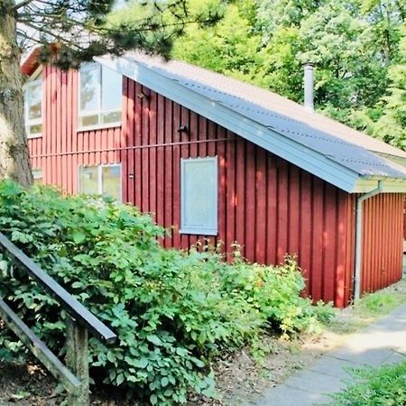 Komfort-Ferienhaus - Extertal Ferienpark - Entspannung, Natur, Wald, Familie #51 Esterno foto